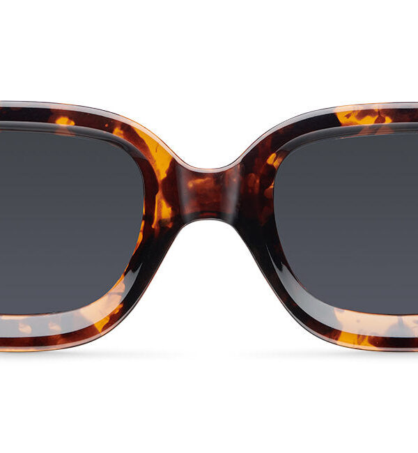 Dashi Tigris Carbon