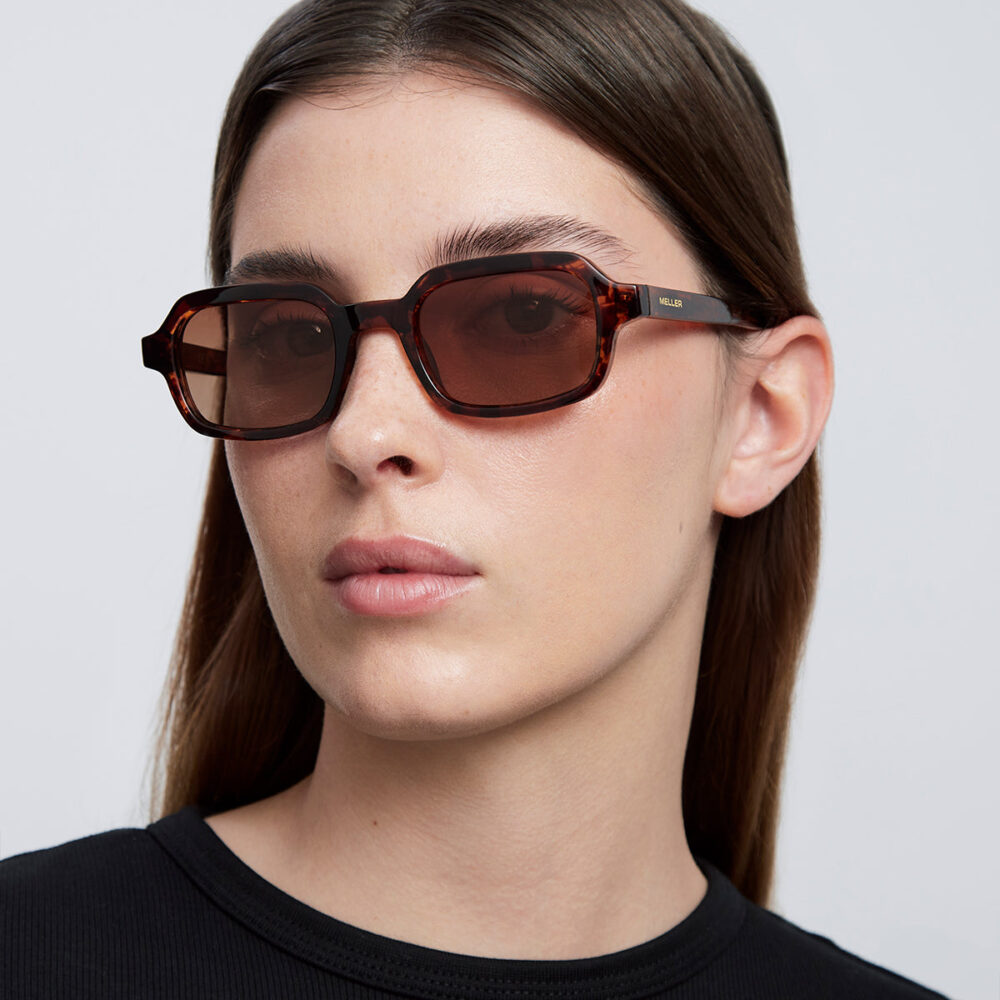 Dotia Tigris Brown - Image 4